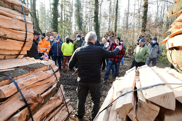 Holzgant