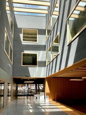 Lichtdurchflutete Innenräume prägen das neue Schulhaus.