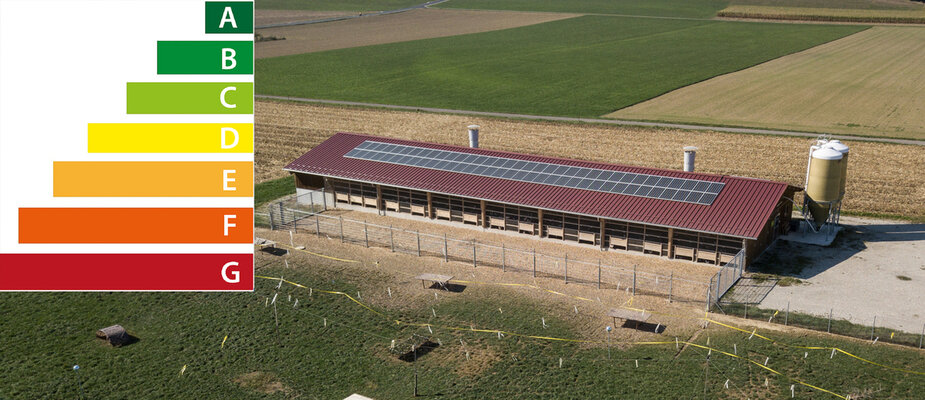 bild3