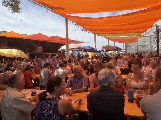Beerifest - 1