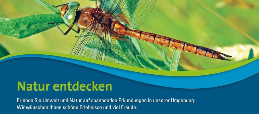 Natur entdecken - 1