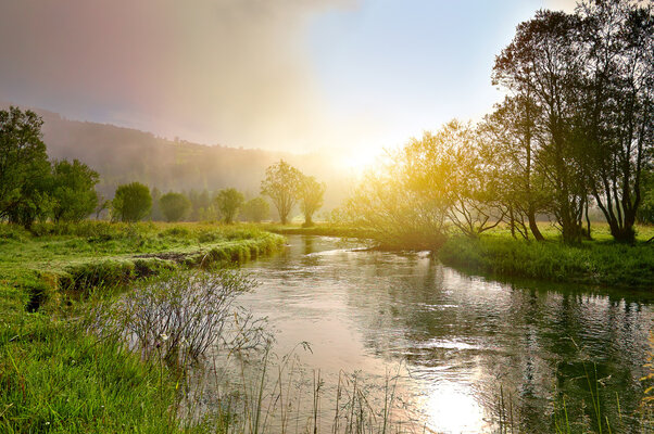 adobestock_64641370