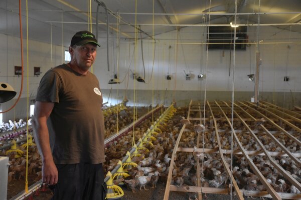 Bei der Annahme der Massentierhaltungsinitiative müsste Roland Frischknecht seinen Pouletstall von 4200 auf 500 Tiere reduzieren.