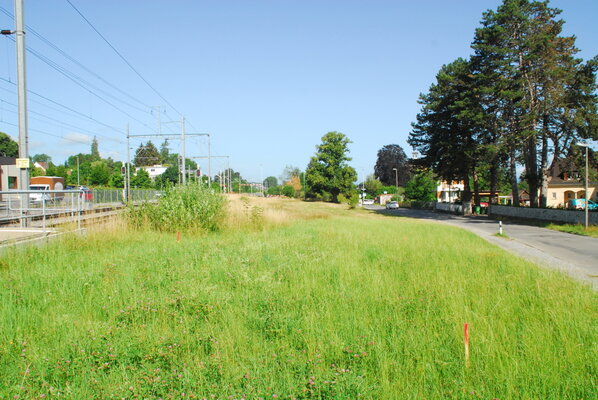 seeblickstrasse