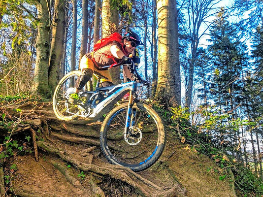 Biker im Wald