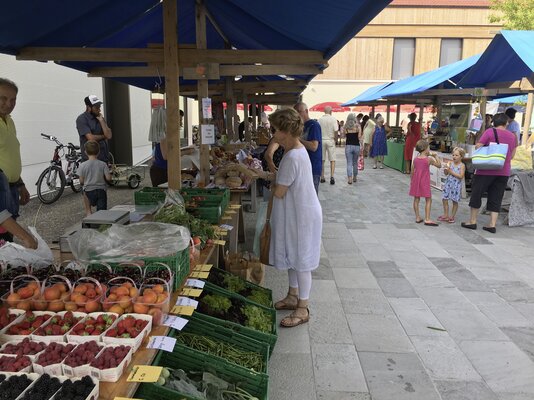 Dorfmarkt Altnau