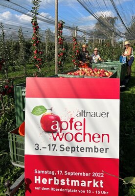 Apfelwochen, Herbstmarkt