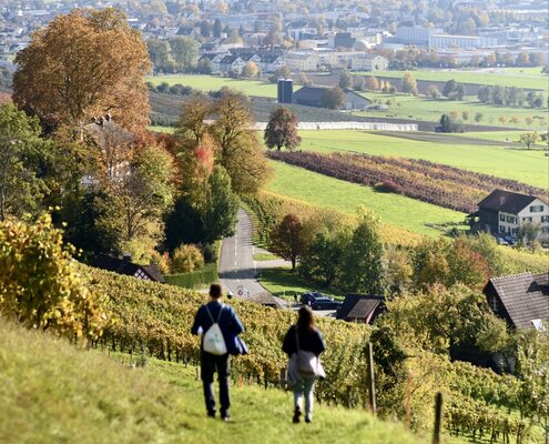 weinwanderung