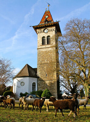 kirche-oberhofen