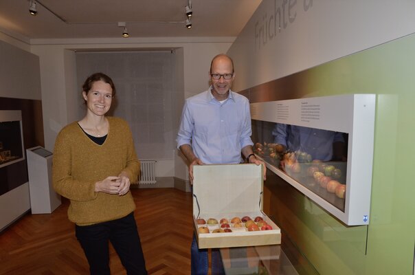Schaetze_Naturmuseum_Fav
