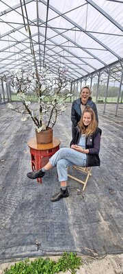 4221_Carla_Frauenfelder-1