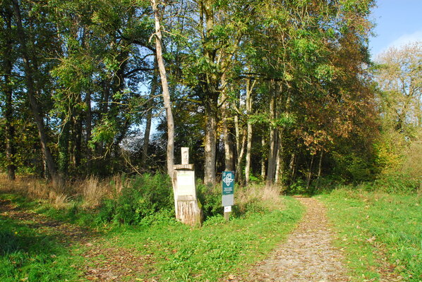 lengwiler-weiher