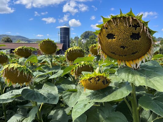 Swiss Future Farm