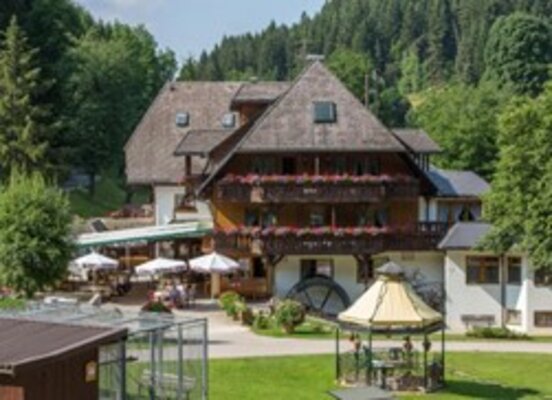 Bild1