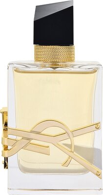 ysl_1