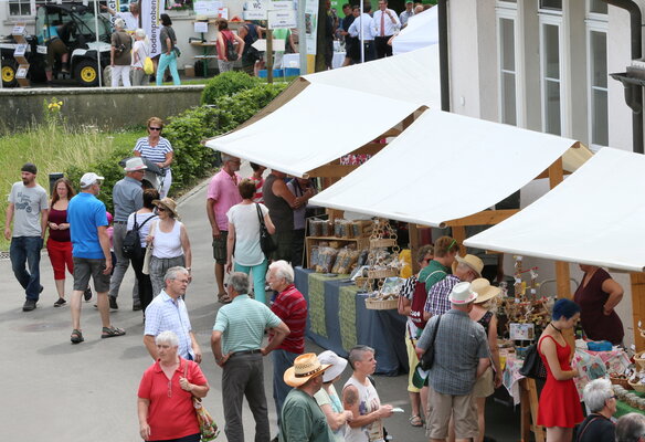 arenenbergertag-2024_blick-auf-den-markt