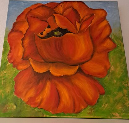 olbild-mohn-von-maluscik-ilona-20240107_123253