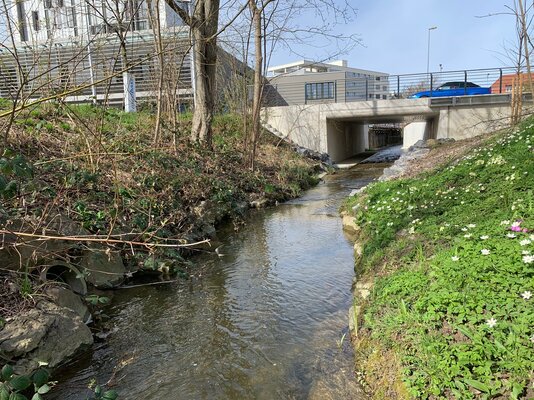 redwebSchoderbach renturiert bis Br?cke Br?ckenstrasse