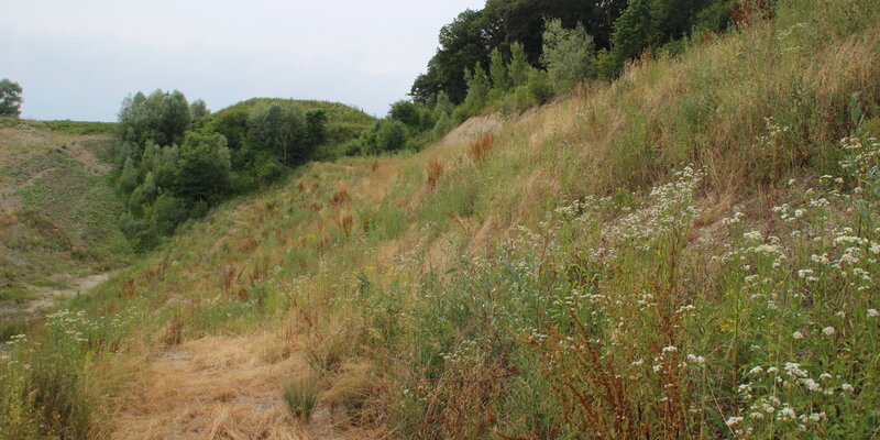 Kiesgrube - 1
