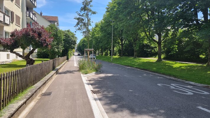 An der Brückenstrasse wird ein neuer Deckbelag eingebaut.