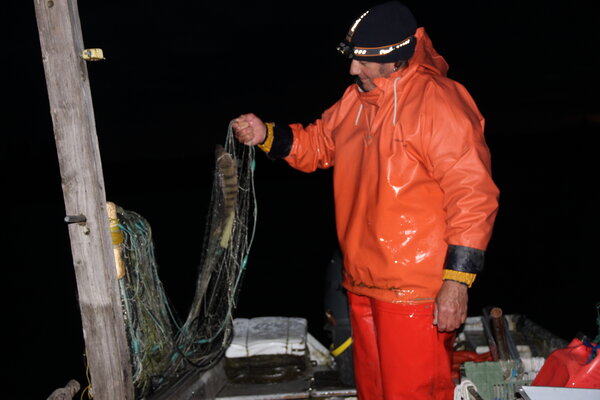 Fischen Untersee