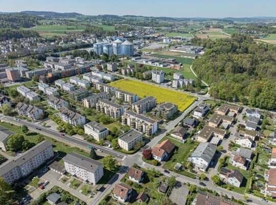 Bild1