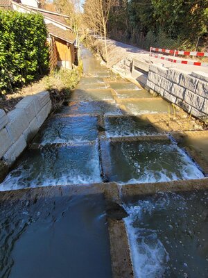 Fischtreppe - 1