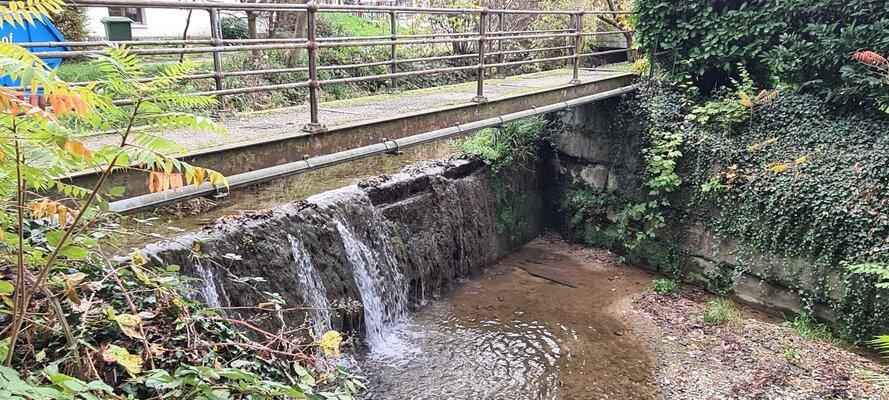 dorfbach-wasserfall - 1