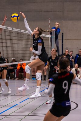volleyball