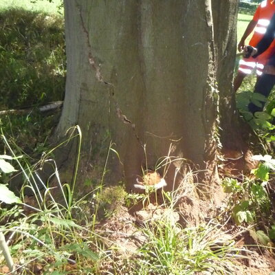 Symbolbild - 1