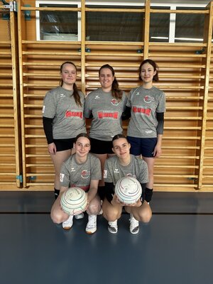 Faustball - 1