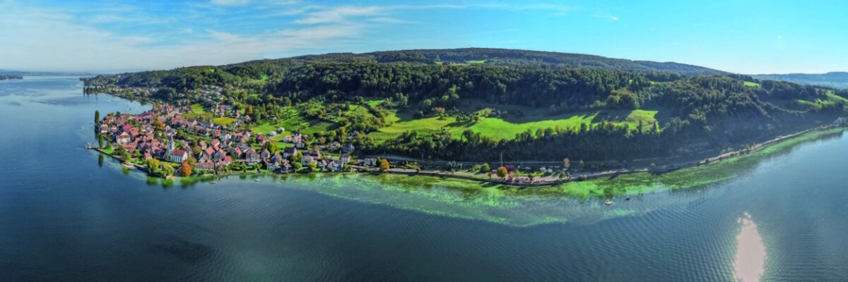 Das Seeufer zwischen Berlingen und Steckborn soll weiterentwickelt werden, etwa durch Revitalisierung der Uferzone. ⋌zVg