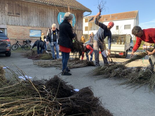 redwebJeder Strauch z?hlt 2026