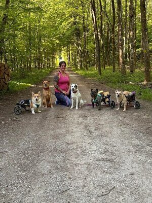 Annabelle Gossweiler-Furter vom Verein für behinderte Hunde mit ihrer Hundetruppe.