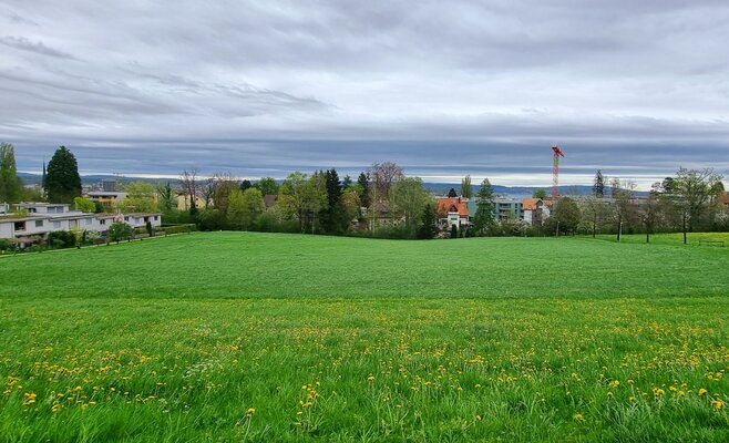 alpstrasse