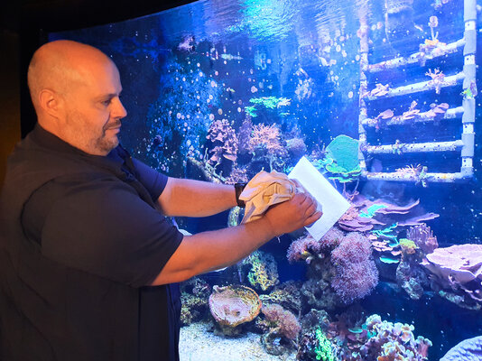 SEA LIFE