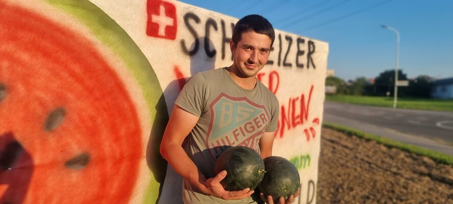fabio-bollmann