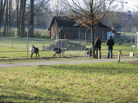 tierpark