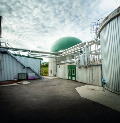 redwebBlack Friday Einladung_08Nov2024_Bioenergie_T?gerwilen