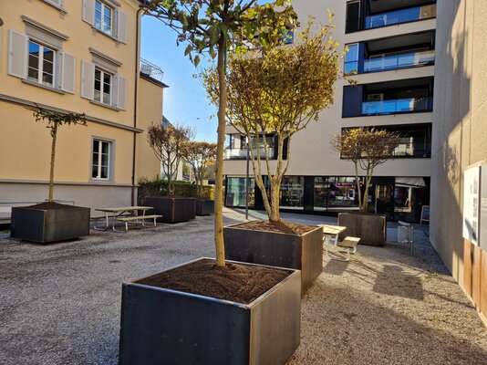 redwebStadt-Insel Piazza1