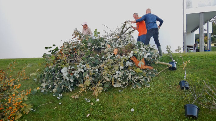 BILD_Naturgartenkurs