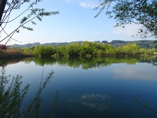 Vago-Weiher in Wigoltingen