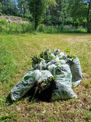 redwebText Neophytensack_Bild 1