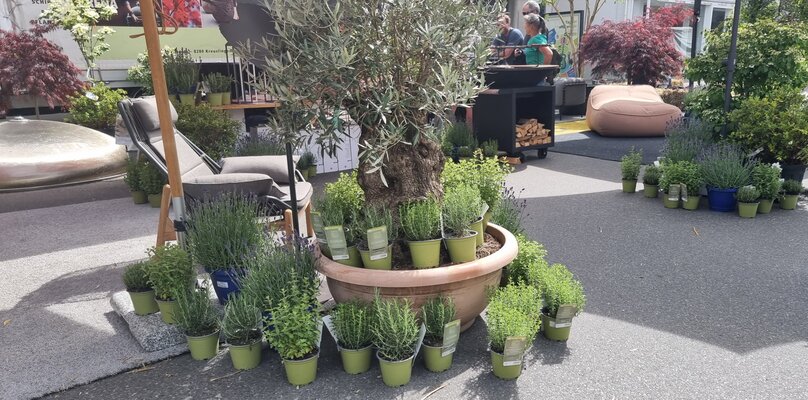 «bunt & wild» war der Gartentag